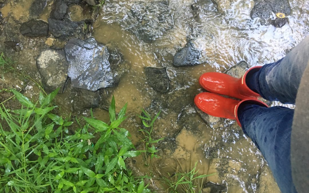 Returning to the Authentic You