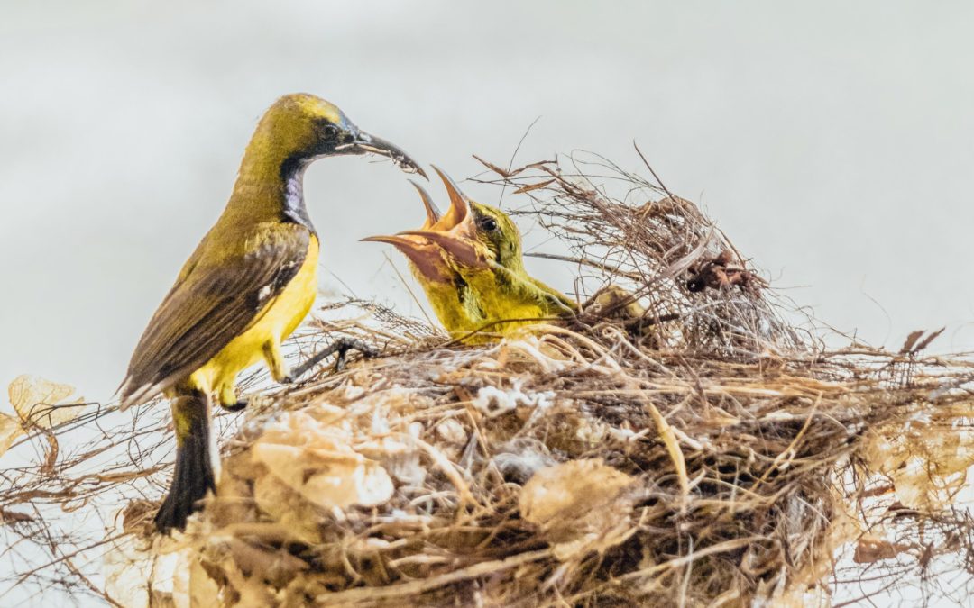 A Working Mom’s Reflection By Emily Cowles