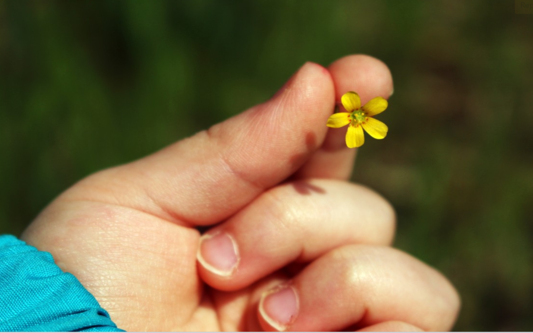 To Reach Your Goal, Start Smaller
