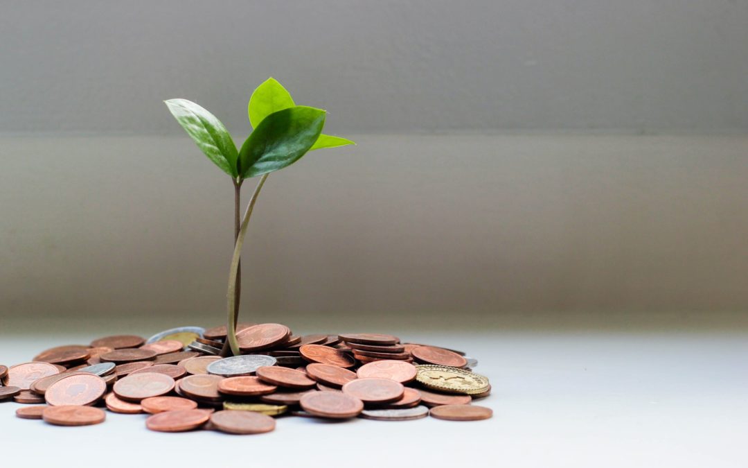 Financial Empowerment For Every Season